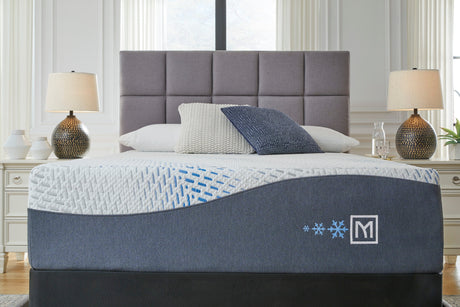 Sleep & Bedding