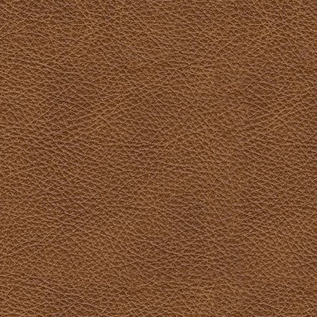 Emilia - 2 Piece Sectional