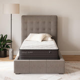 Limited Edition Plush - Mattress
