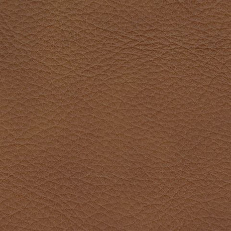 Magic Man - Reclining Sectional